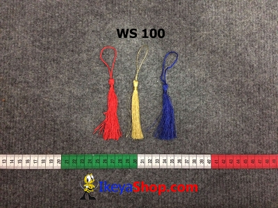 WS 100  large2